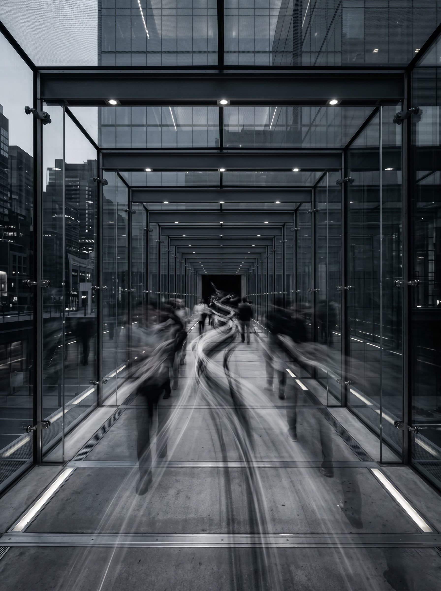 Human Capital & Marketing Velocity